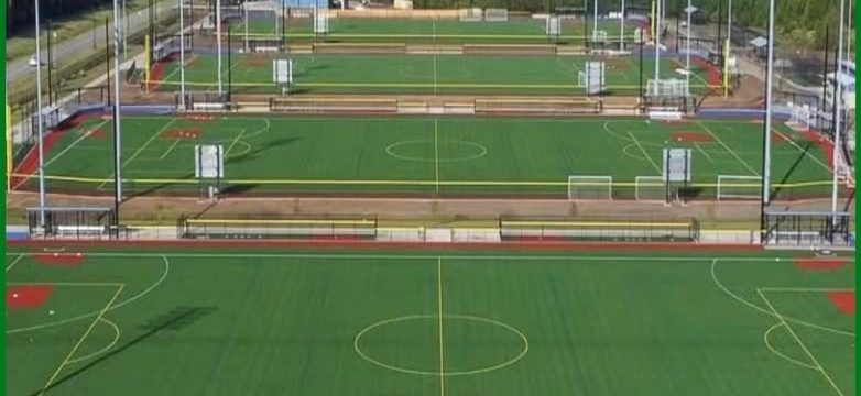 Vista aérea de las canchas del Bayou Nation Sports Complex en Avondale